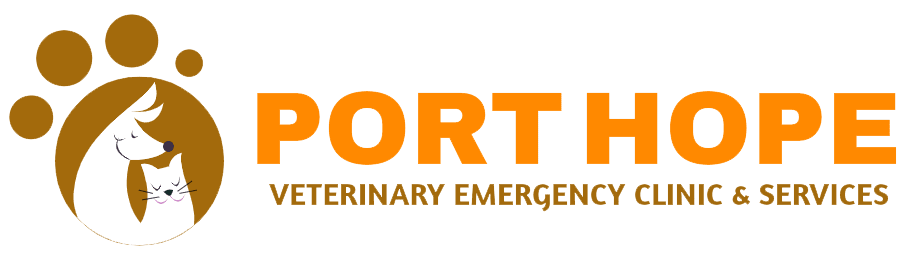 Port Hope Veterinary Emergency Clinic & Services